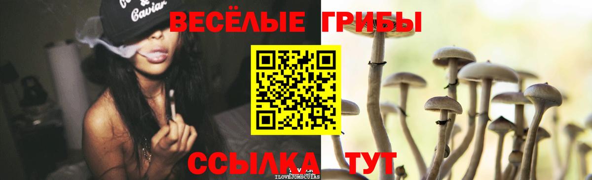 Псилоцибиновые грибы мухоморы Кандалакша